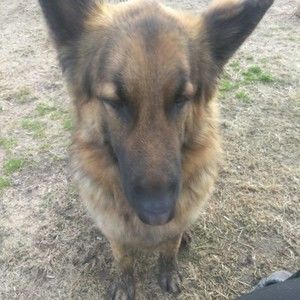 Meet your Posher, Rhonda